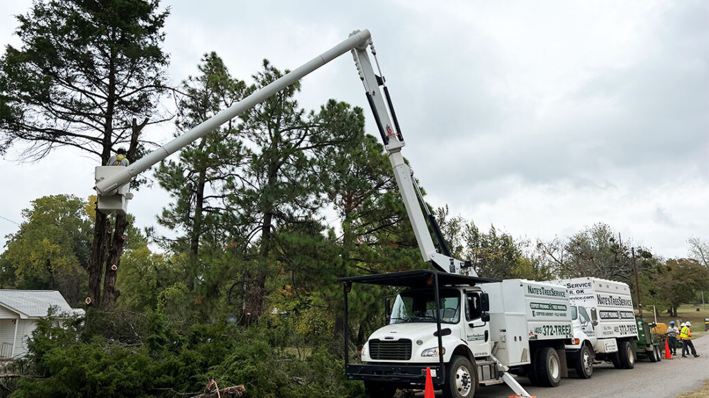 crew-clearing-water-line-installation-1024x575